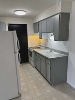 200 Madison St in Joliet, IL - Building Photo