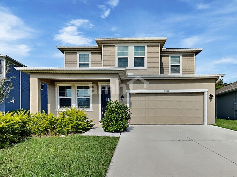 20299 Calla Lily Dr in Land O Lakes, FL - Building Photo