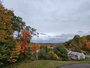 165 Osborn Rd in Naugatuck, CT - Building Photo - Building Photo