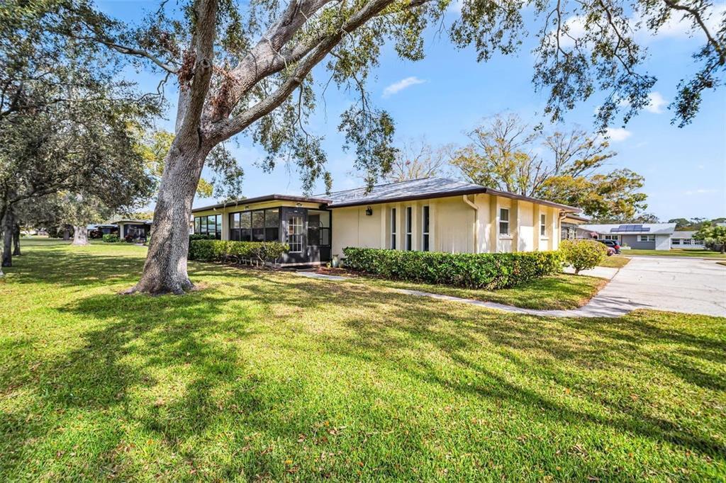 1227 Queen Anne Dr in Palm Harbor, FL - Building Photo