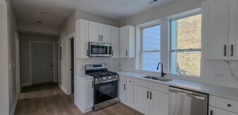 2552 S Central Park Ave, Unit 2 in Chicago, IL - Building Photo