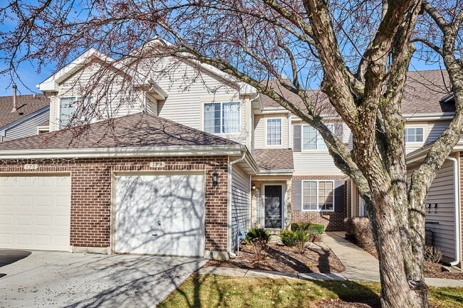 173 Cripple Creek Ct in Schaumburg, IL - Building Photo - Building Photo