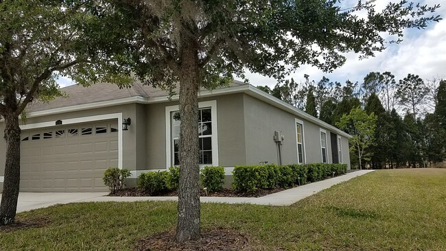 4255 Ashton Meadows Way in Wesley Chapel, FL - Foto de edificio - Building Photo