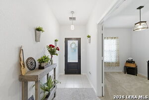 8319 Percheron Pass in San Antonio, TX - Building Photo - Building Photo