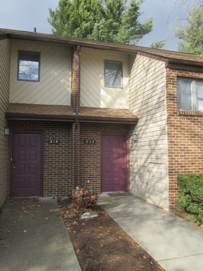 property at 313 Shenandoah Cir