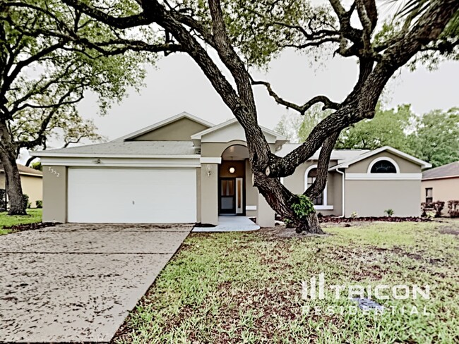 7352 Cone Shell Dr in Spring Hill, FL - Building Photo - Building Photo