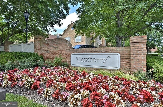 5715 Balsam Grove Ct in North Bethesda, MD - Building Photo - Building Photo