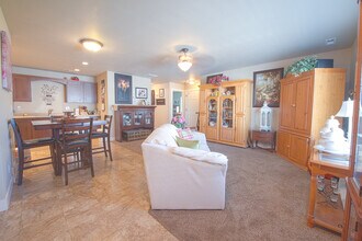 594 S 1050 W in Pleasant Grove, UT - Building Photo - Building Photo