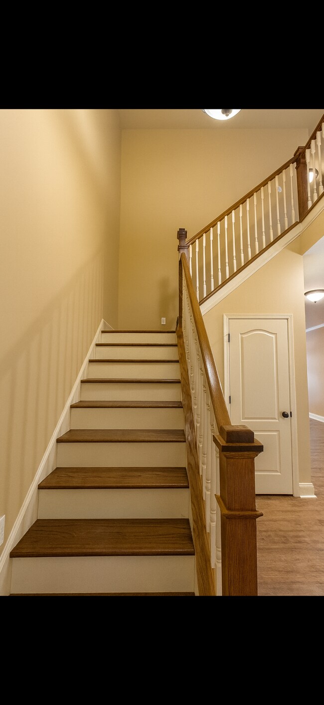 6904 Climbing Ivy Way in Knoxville, TN - Building Photo - Building Photo