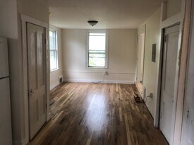 121 Cascadilla Ave in Ithaca, NY - Building Photo