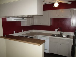 Tarleton Apartments in Houston, TX - Building Photo - Building Photo