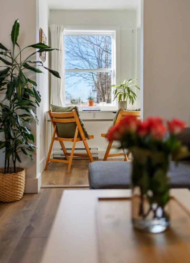 3216 Agricola St in Halifax, NS - Building Photo - Building Photo