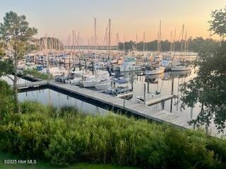 property at 215 Dock Side Dr