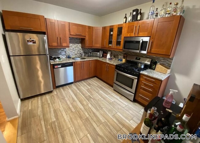 170 Thorndike St in Brookline, MA - Building Photo - Building Photo