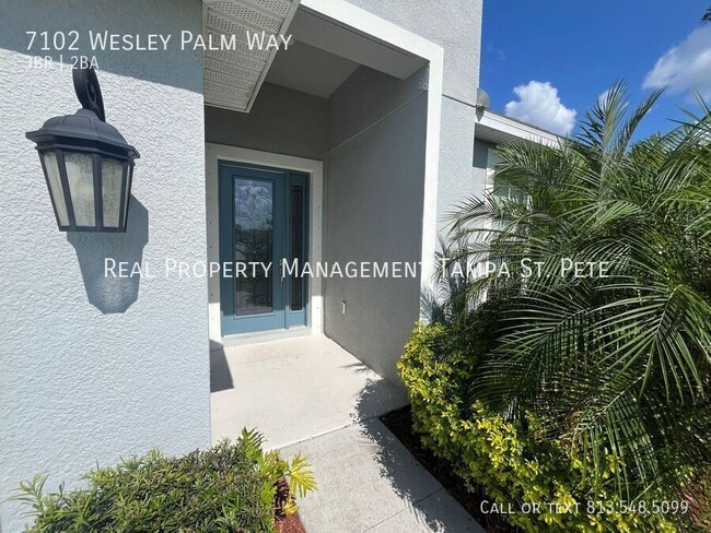 7102 Wesley Palm Wy in Zephyrhills, FL - Building Photo - Building Photo