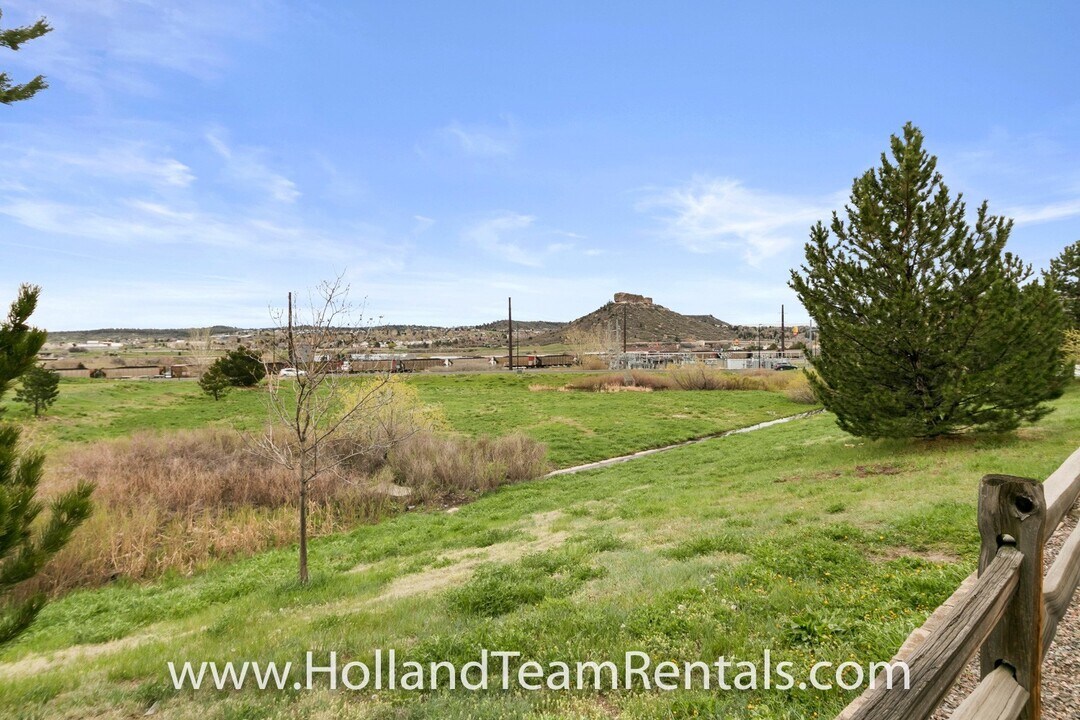 1468 Nemrick Pl in Castle Rock, CO - Building Photo