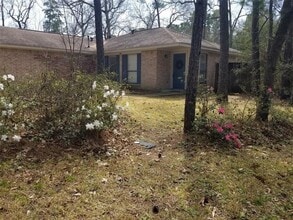 2 E White Willow Cir in Spring, TX - Foto de edificio - Building Photo