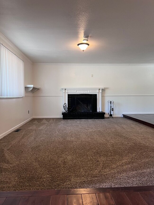 209 Simone Ave in Carson City, NV - Building Photo - Building Photo
