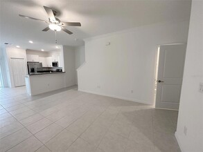 17596 Nectar Flume Dr in Land O Lakes, FL - Foto de edificio - Building Photo