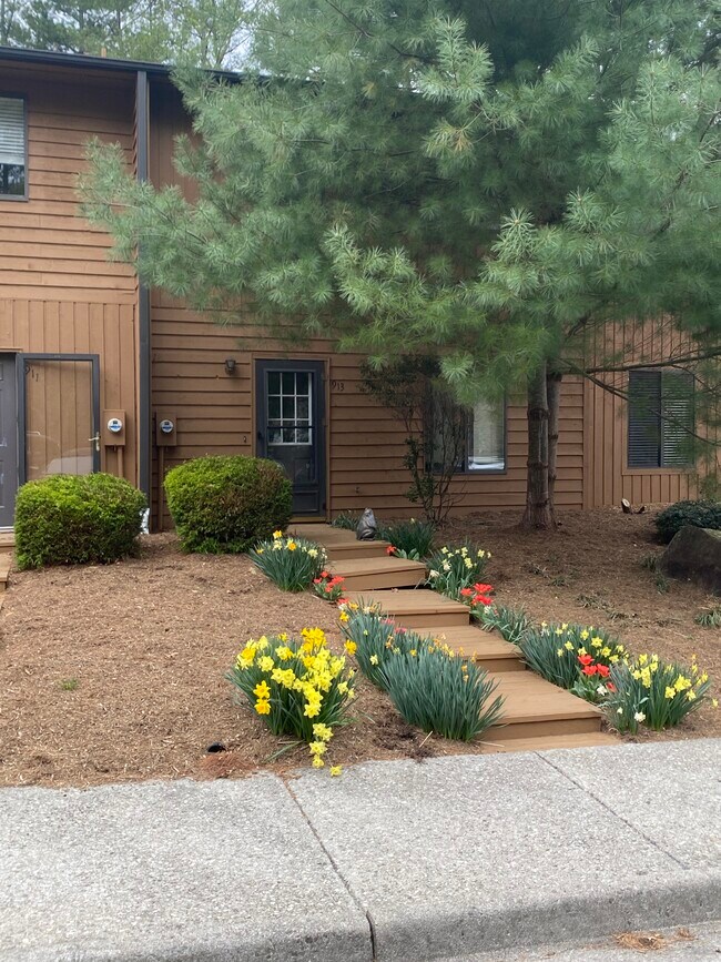 913 Lora Ln in Blacksburg, VA - Building Photo - Building Photo