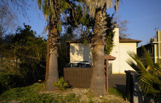 625 Oak St in Chico, CA - Building Photo - Building Photo
