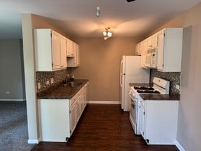 303 Newport Ln in Bartlett, IL - Foto de edificio - Building Photo