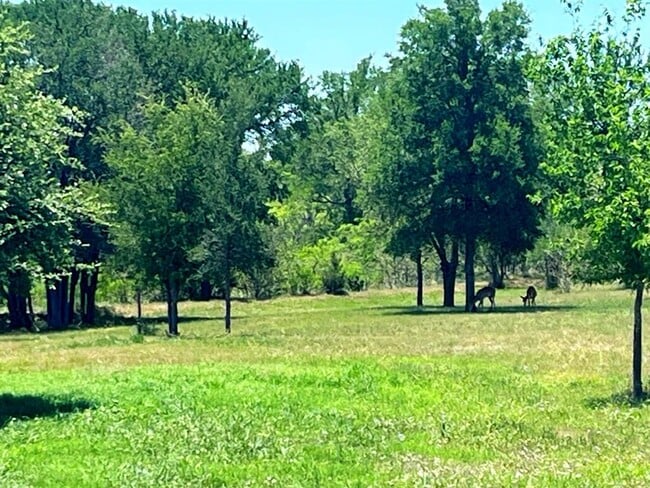 property at 873 Shiloh Rd