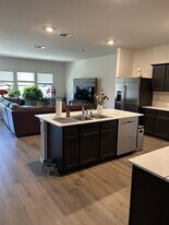 13144 Sanctuary Dr in Krugerville, TX - Building Photo