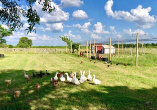 923 County Rd 138 in Cameron, TX - Building Photo - Building Photo