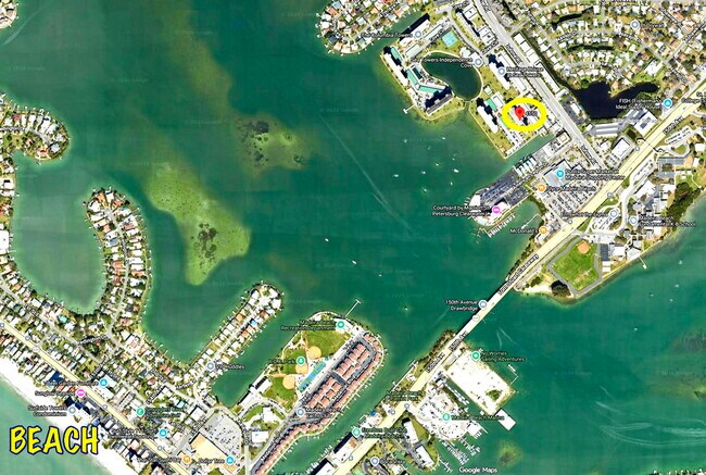 4550 Cove Cir, Unit 305 in St. Petersburg, FL - Building Photo - Building Photo