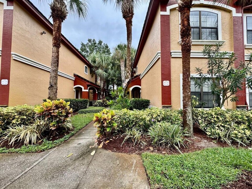 2188 Chianti Pl in Palm Harbor, FL - Building Photo