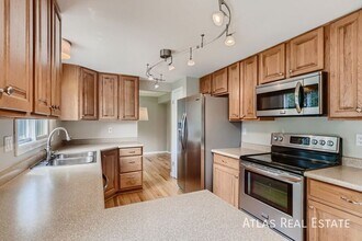 1719 Hotchkiss Dr in Fort Collins, CO - Building Photo - Building Photo