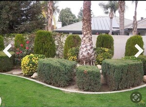 7118 Rhone Dr in Bakersfield, CA - Building Photo - Building Photo