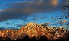 1225 Wolf Hollow Ln in Salt Lake City, UT - Building Photo - Building Photo