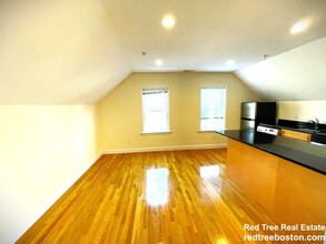 172 Fuller St, Unit 3 in Brookline, MA - Building Photo - Building Photo