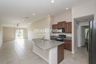 5136 White Chicory Dr in Ruskin, FL - Building Photo - Building Photo