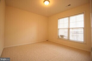 3810 Lightfoot St in Chantilly, VA - Building Photo