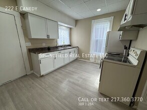 222 E Canedy St in Springfield, IL - Building Photo - Building Photo
