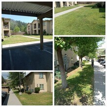 Mountain View Apartments in Weed, CA - Building Photo - Building Photo