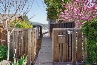 544 Bret Harte Rd in San Rafael, CA - Building Photo - Building Photo