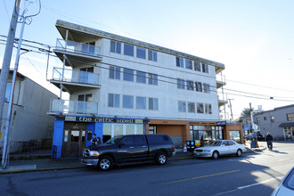 Alki Shores Apartments in Seattle, WA - Building Photo - Building Photo