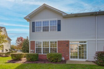 355 Grape Vine Trail in Oswego, IL - Building Photo - Building Photo