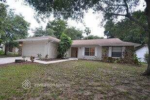 904 Tarawood Ln in Valrico, FL - Building Photo