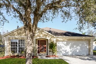 29613 Morningmist Dr in Zephyrhills, FL - Building Photo