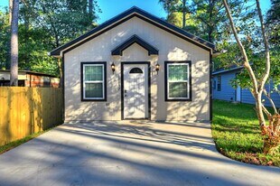 10157 Barberry St in Willis, TX - Building Photo