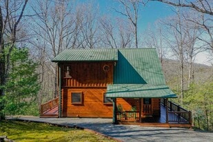 348 The Forest Has Eyes in Blue Ridge, GA - Building Photo