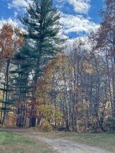 86 Buff Cap Rd in Tolland, CT - Building Photo - Building Photo