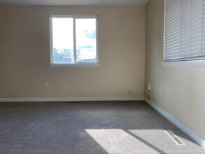 905 Pasque Dr in Longmont, CO - Building Photo - Building Photo