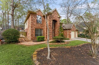 91 S Downy Willow Cir in Spring, TX - Building Photo - Building Photo