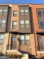 736 Watts St in Baltimore, MD - Building Photo